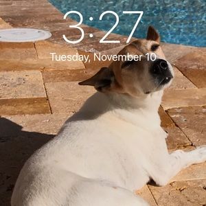 Meet your Posher, Liset